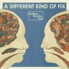 Bombay Bicycle Club - A Different Kind Of Fix