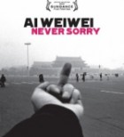 Ai Weiwei Never Sorry 
