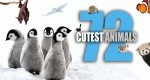 72 Cutest Animals 1.08