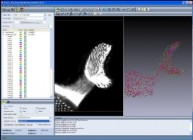 Visage Imaging Amira v5.2.2 x32