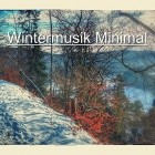 VA - Wintermusik Minimal (Tech House Tracks For Winter)