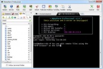 MobaXterm Professional v10.4