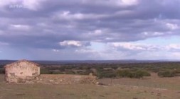 Die grossen Tierwanderungen in Spanien