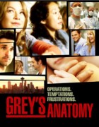 Grey's Anatomy - XviD - Staffel 6 (HD-Rip)