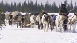 360 Grad Geo Reportage Der Polarflieger