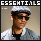 Xavier Naidoo - Essentials