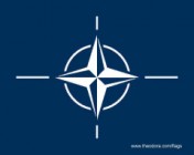 Die geheimen Armeen der NATO