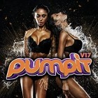 Pump It Vol.17