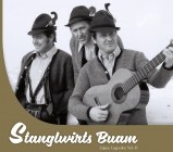 Stanglwirts Buam - Alpine Legenden Vol.II