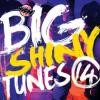 Big Shiny Tunes 14