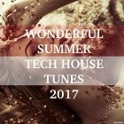 VA - Wonderful Summer Tech House Tunes 2017