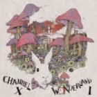 Channel X - Wonderland