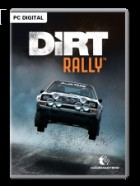 DiRT Rally v1.1