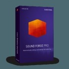 Magix Sound Forge Pro v13.0.0.46