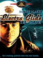 Electra Glide in Blue - Harley Davidson 344