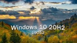 Windows 10 Pro 20H2 v2009 Build 19042.746 (x64)