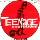 VA - Teenage ShutDown Vol. 01-15