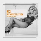 Hot Music Selection Vol.13