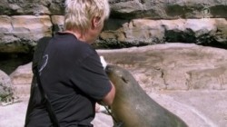 Seehund Puma und Co S06E20 Morgens im Zoo