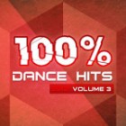 100 % Dance Hits 2012 Vol.3