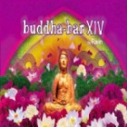 Buddha Bar XIV By Ravin