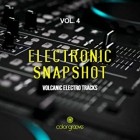 Electronic Snapshot Vol.4 (Volcanic Electro Tracks)