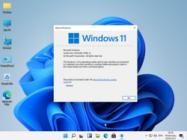 Microsoft Windows 11 All-in-One Build 21996.1 x64