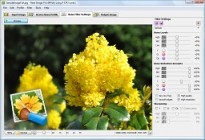 Neat Image Pro Standalone 7.6