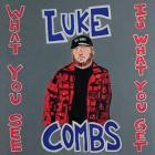 Luke Combs - What You See Ain't Always What You Get (Deluxe Edition)