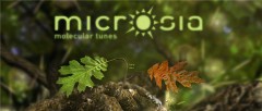 Microsia v1.0