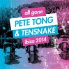 All Gone Pete Tong And Tensnake Ibiza 2014