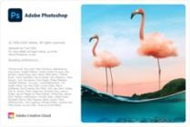 Adobe Photoshop 2021 v22.3.1.122 (x64)