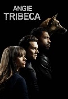 Angie Tribeca - Staffel 3