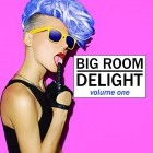 VA - Big Room Delight Vol 1