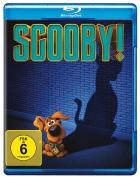 SCOOBY! - Voll verwedelt