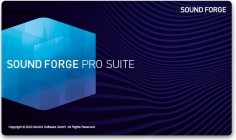 Magix Sound Forge Pro Suite v14.0.0.65