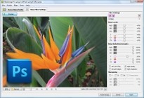 Neat Image Pro for Photoshop 7.6