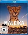 Maleika 2017