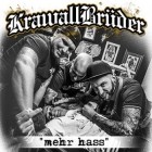 Krawallbrueder - mehr hass