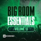 Big Room Essentials Vol.13