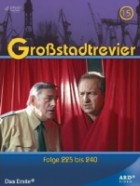 Grossstadtrevier - Staffel 15