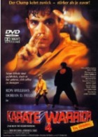 Karate Warrior 4