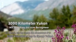 3.000 Kilometer Yukon – Mit dem Kanu zum Beringmeer