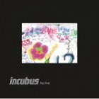 Incubus - HQ Live