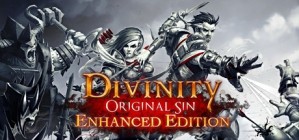 Divinity Original Sin Enhanced Edition