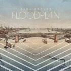 Sara Groves- Floodplain