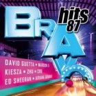 Bravo Hits Vol.87