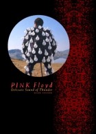 Pink Floyd - Delicate Sound of Thunder