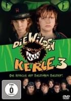 Die wilden Kerle 3