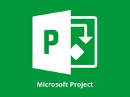 Microsoft Project Professional 2019 Retail v16.0.10730